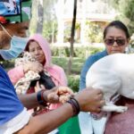 Nezahualcóyotl tendrá Jornada Masiva de Esterilización de perros y gatos