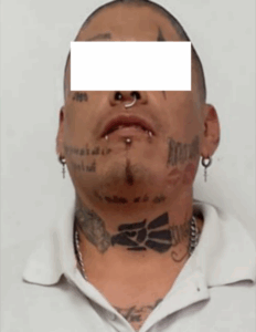 Picsart_25-07-03_17-05-14-938