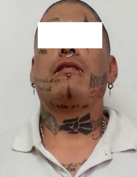 Picsart_25-07-03_17-05-14-938